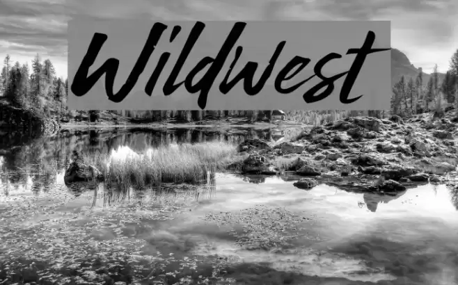 Wildwest Font examples