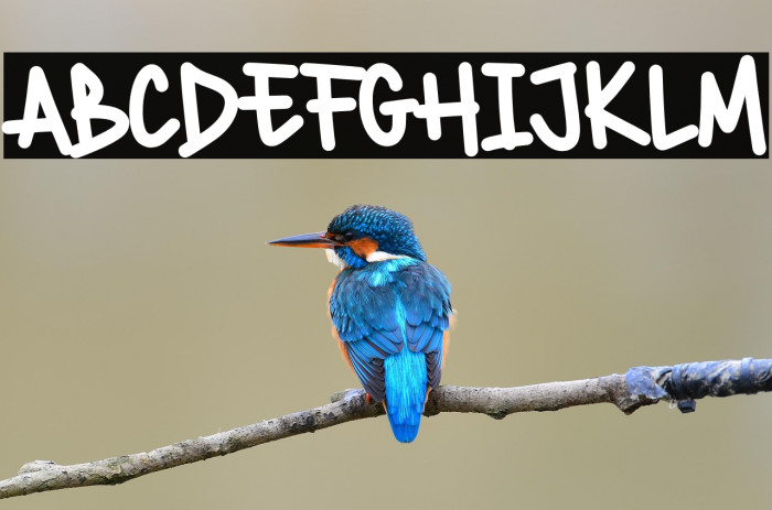 Wildwick Demo Example 1