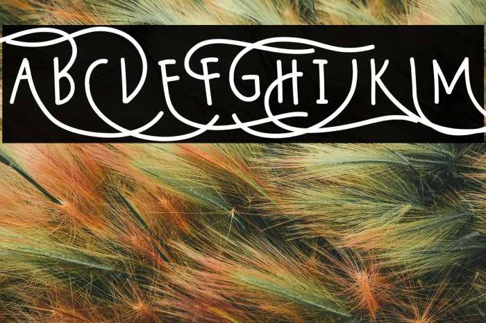 Wildy Sans Example 1