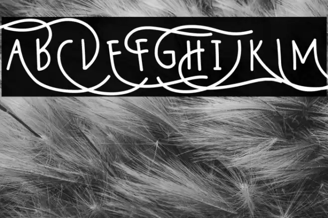 Wildy Sans Font examples