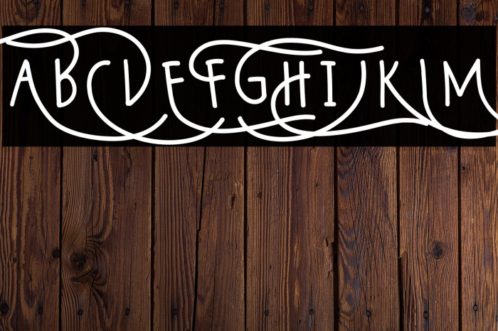 Wildy Sans Example 2