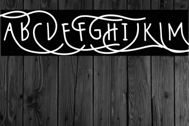 Wildy Sans Font examples