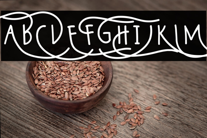 Wildy Sans Example 3