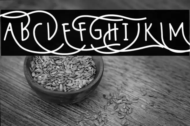 Wildy Sans Font examples