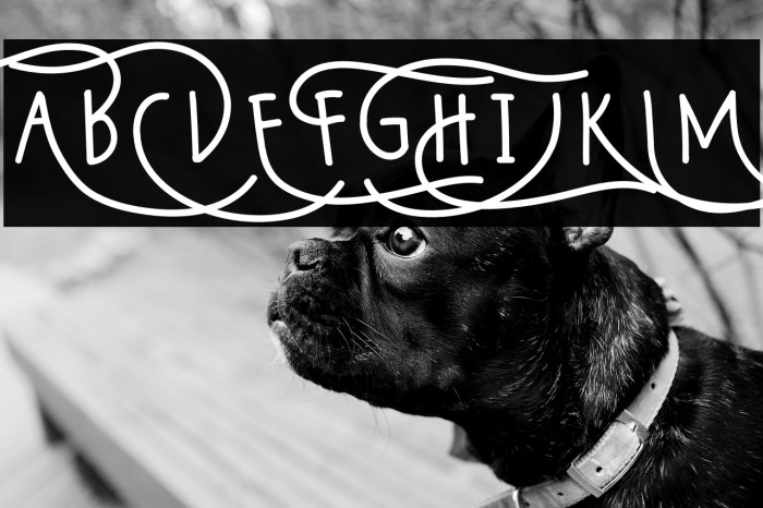 Wildy Sans Example 1