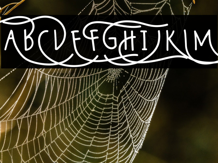 Wildy Sans Example 2