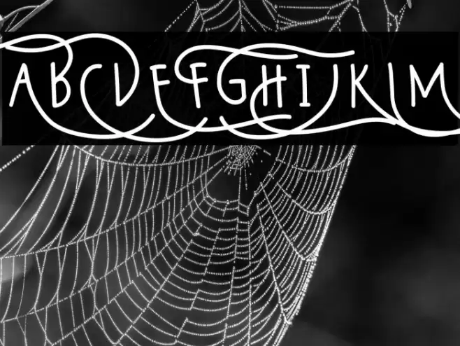 Wildy Sans Font examples