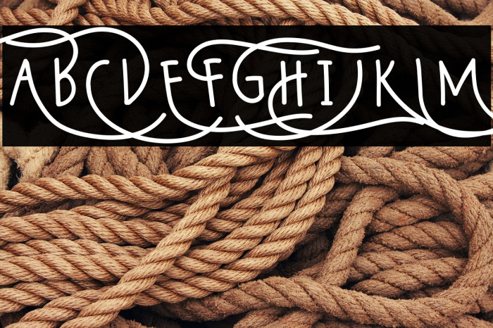 Wildy Sans Example 3