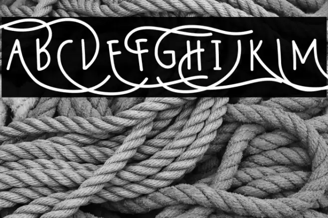 Wildy Sans Font examples