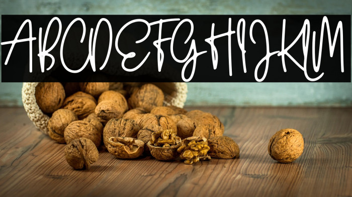 Wildy Sign Personal Use Example 1