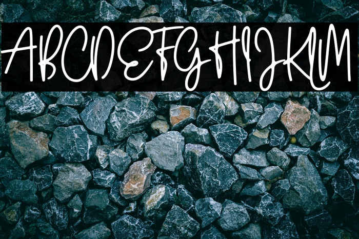 Wildy Sign Personal Use Example 2