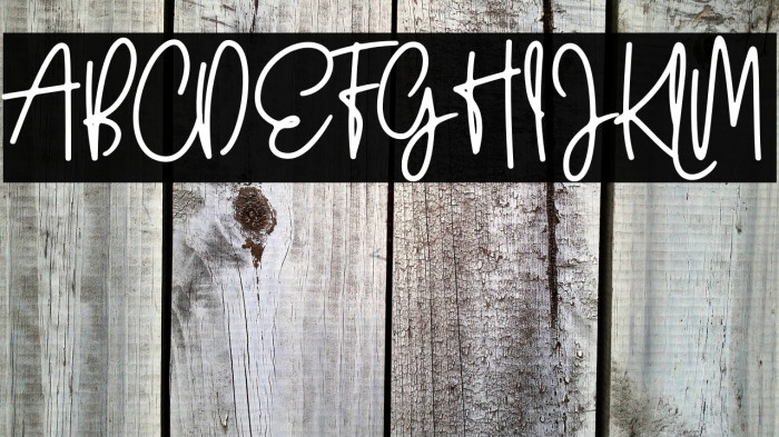 Wildy Sign Personal Use Example 3