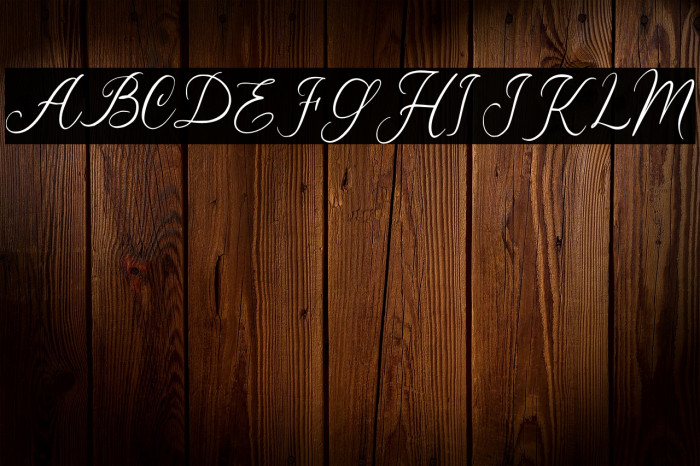 Wildya PERSONAL USE ONLY! Example 1