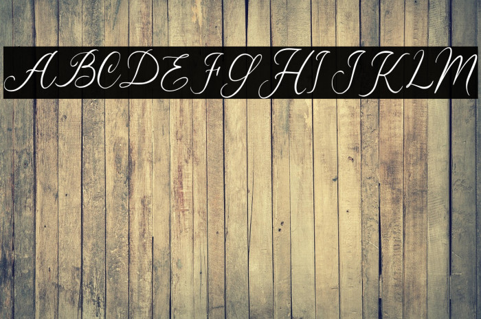 Wildya PERSONAL USE ONLY! Example 3