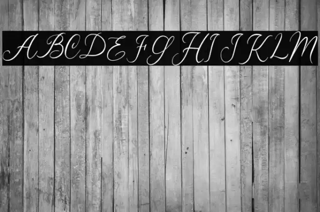 Wildya PERSONAL USE ONLY! Шрифта examples