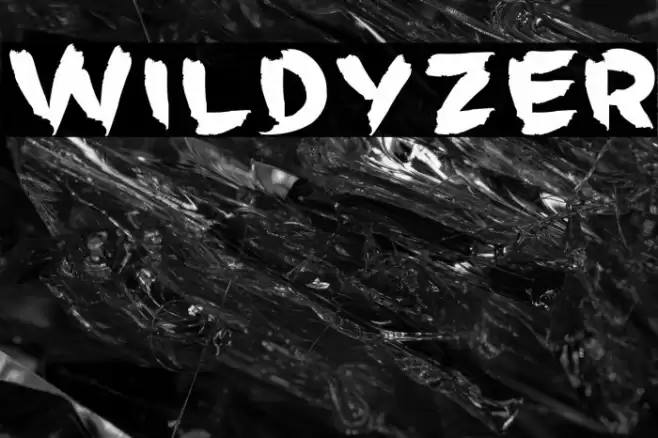 Wildyzer Font examples