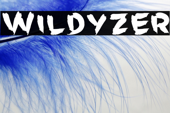 Wildyzer Example 2