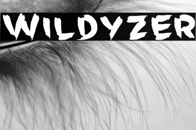 Wildyzer Font examples