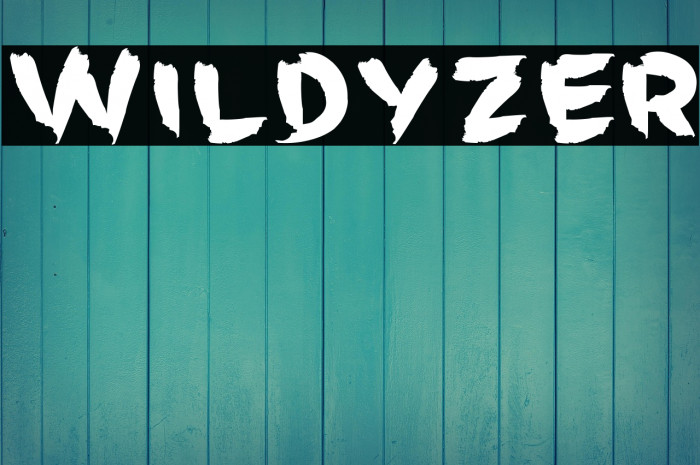 Wildyzer Example 3