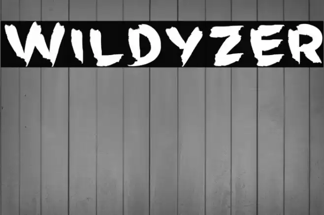 Wildyzer Font examples