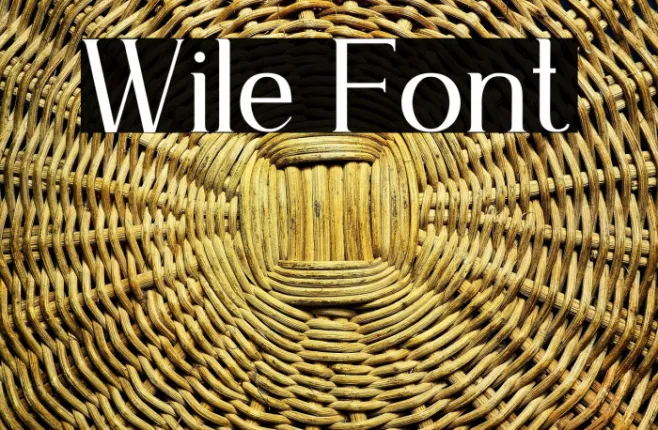 Wile Example 1