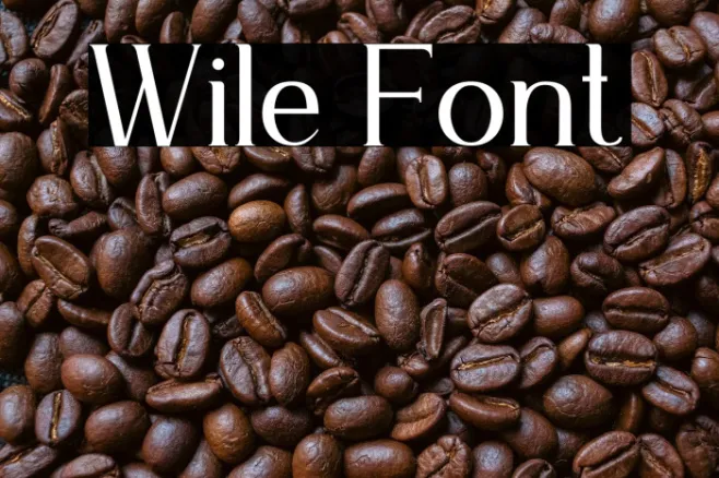 Wile Example 2