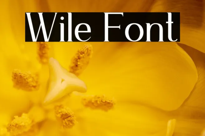 Wile Example 3