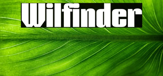 Wilfinder Example 1