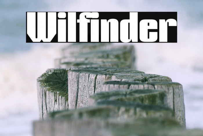 Wilfinder Example 2