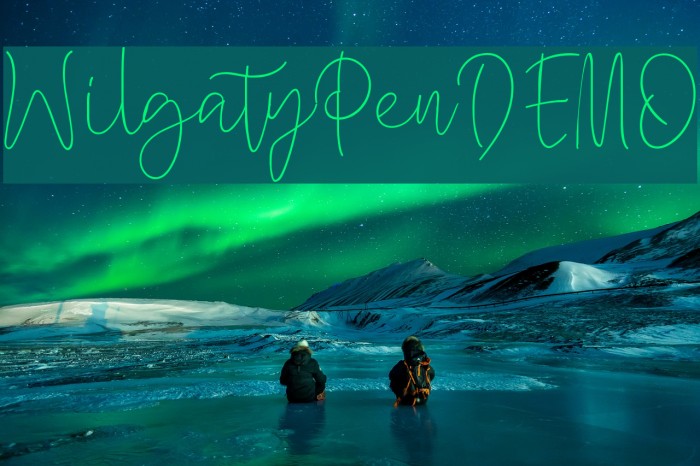 WilgatyPenDEMO Font examples