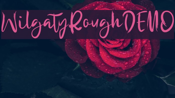 WilgatyRoughDEMO Example 1