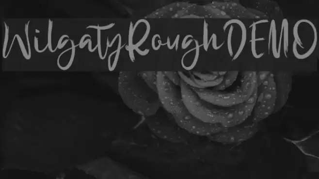WilgatyRoughDEMO Font examples