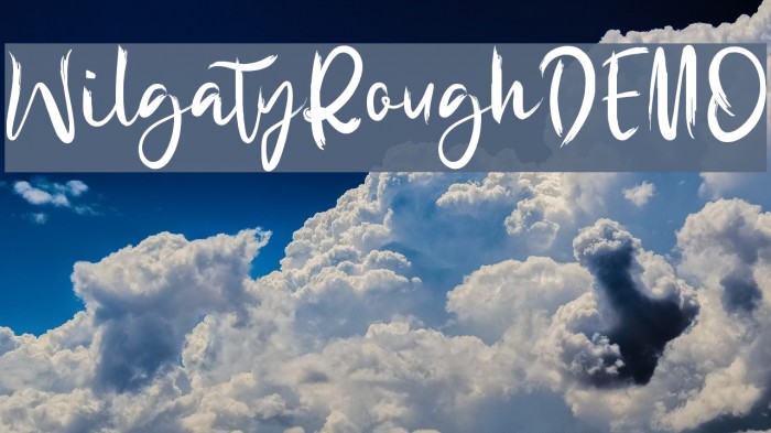 WilgatyRoughDEMO Example 2