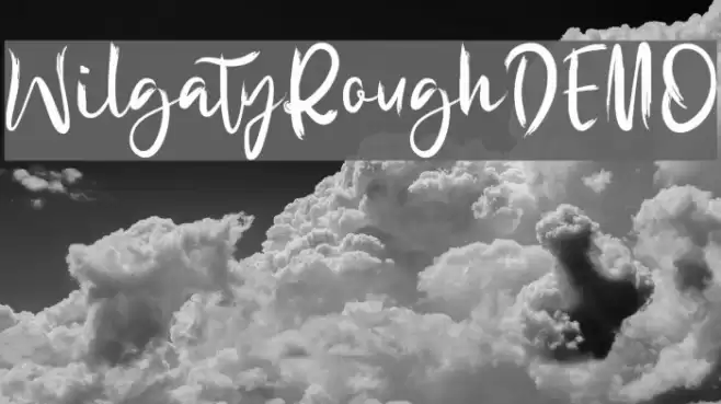 WilgatyRoughDEMO Font examples