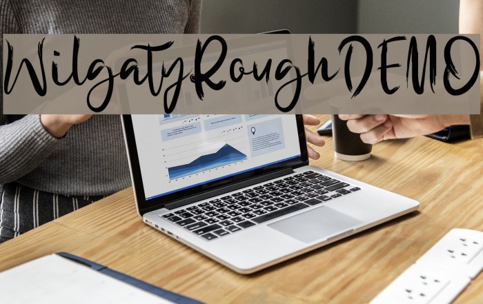 WilgatyRoughDEMO Example 3