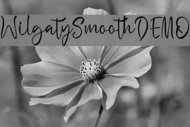 WilgatySmoothDEMO Font examples