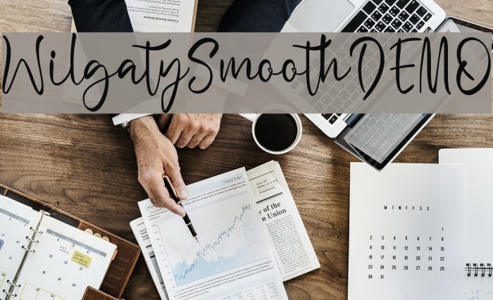 WilgatySmoothDEMO Example 2