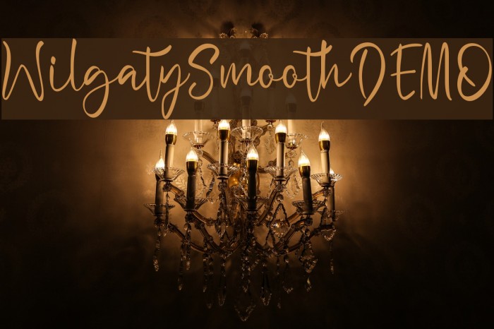 WilgatySmoothDEMO Example 3