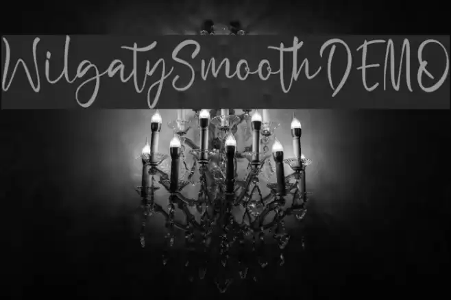 WilgatySmoothDEMO Font examples