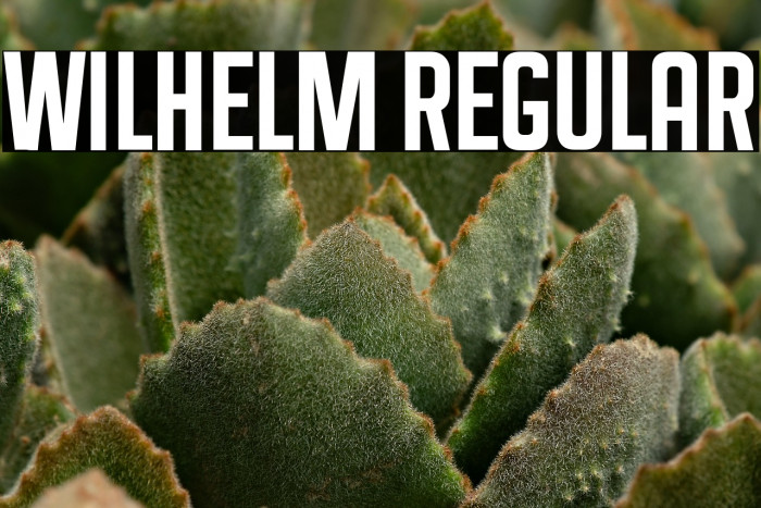 Wilhelm Regular Example 1