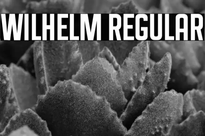 Wilhelm Regular Font examples