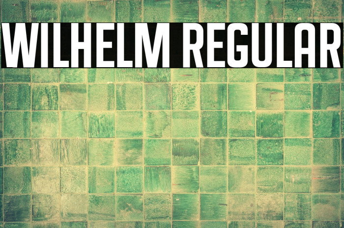 Wilhelm Regular Example 2