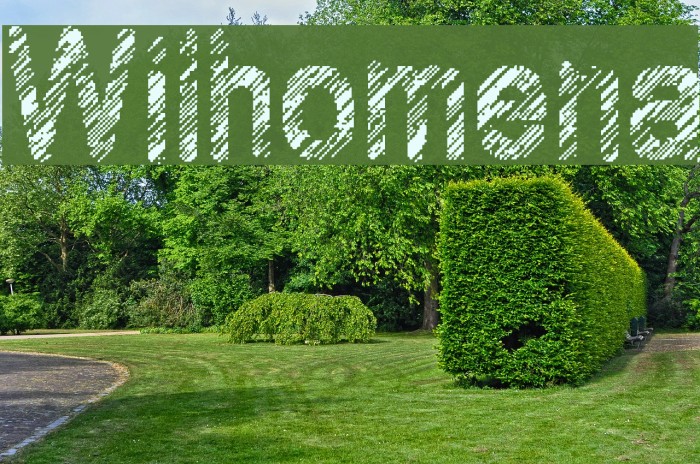 Wilhomena Font examples