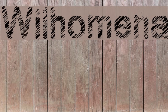 Wilhomena Font examples