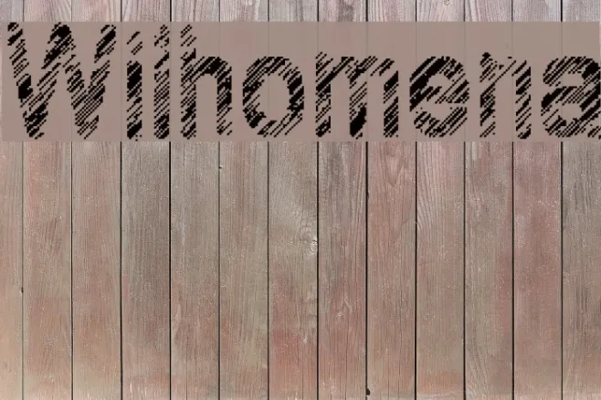 Wilhomena Example 2