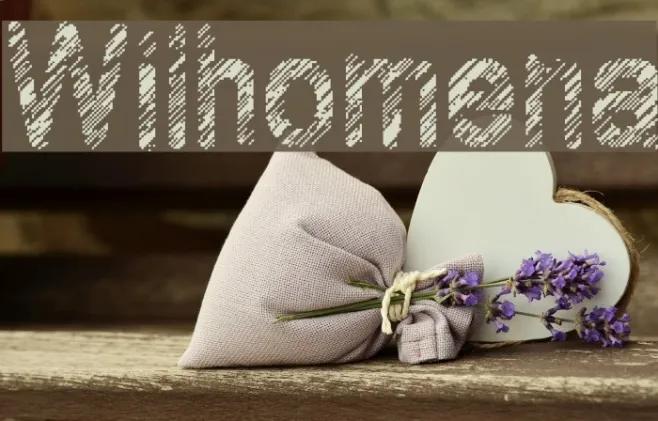 Wilhomena Example 3