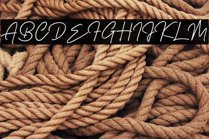 Wiliam Signature Example 1