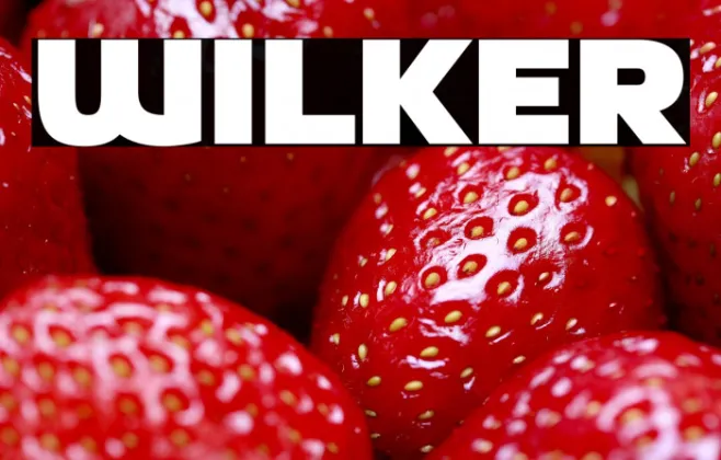 Wilker Example 1