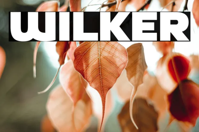 Wilker Example 2