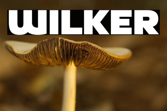 Wilker Example 3